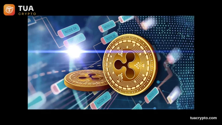 Robinhood, Ripple teknolojisiyle transfer hızını artırıyor